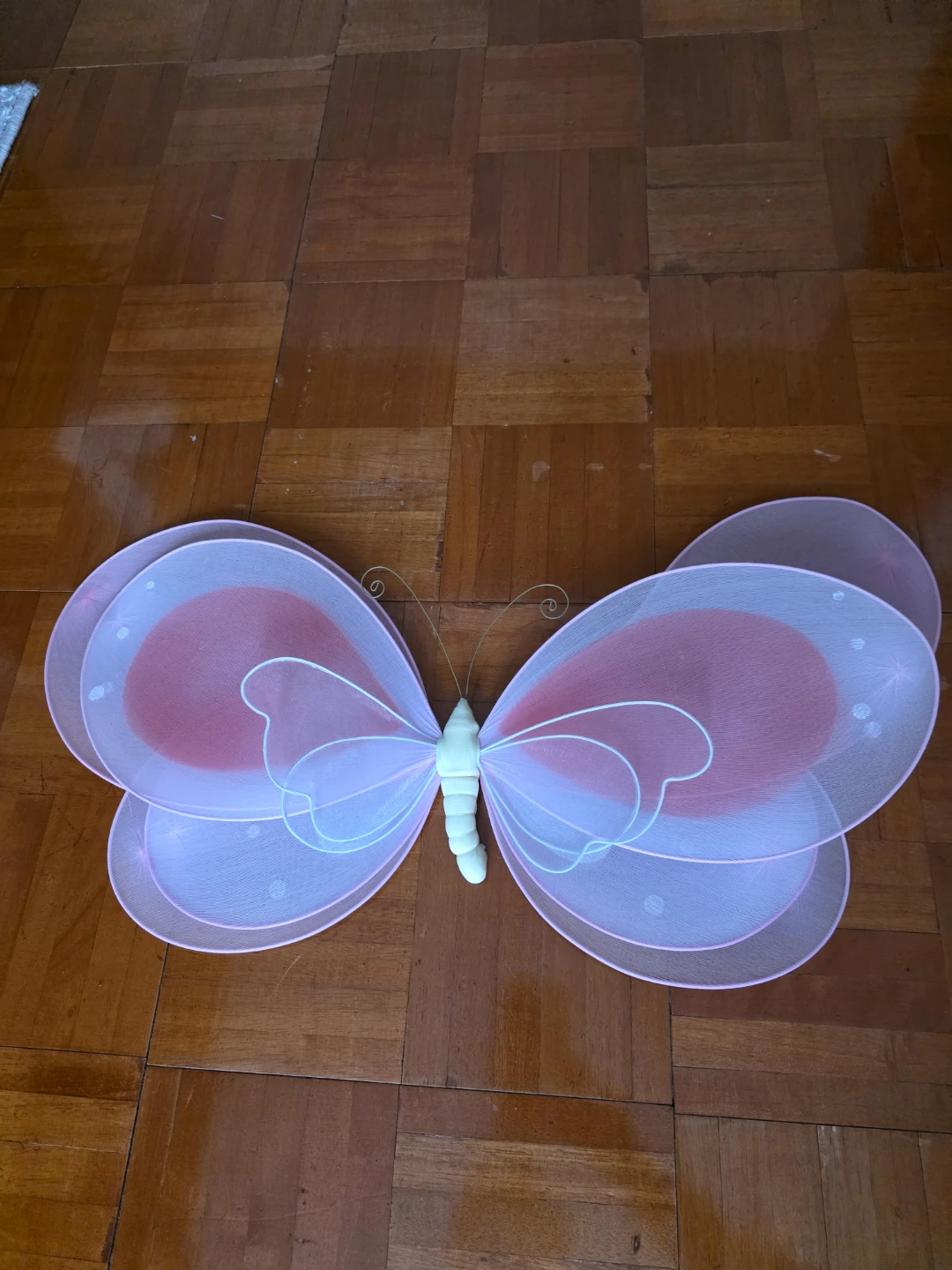 Pink Butterfly Wings