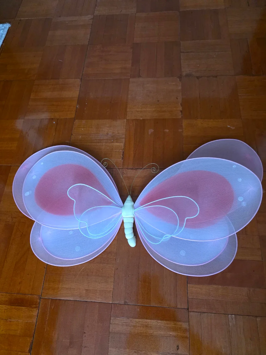 Pink Butterfly Wings
