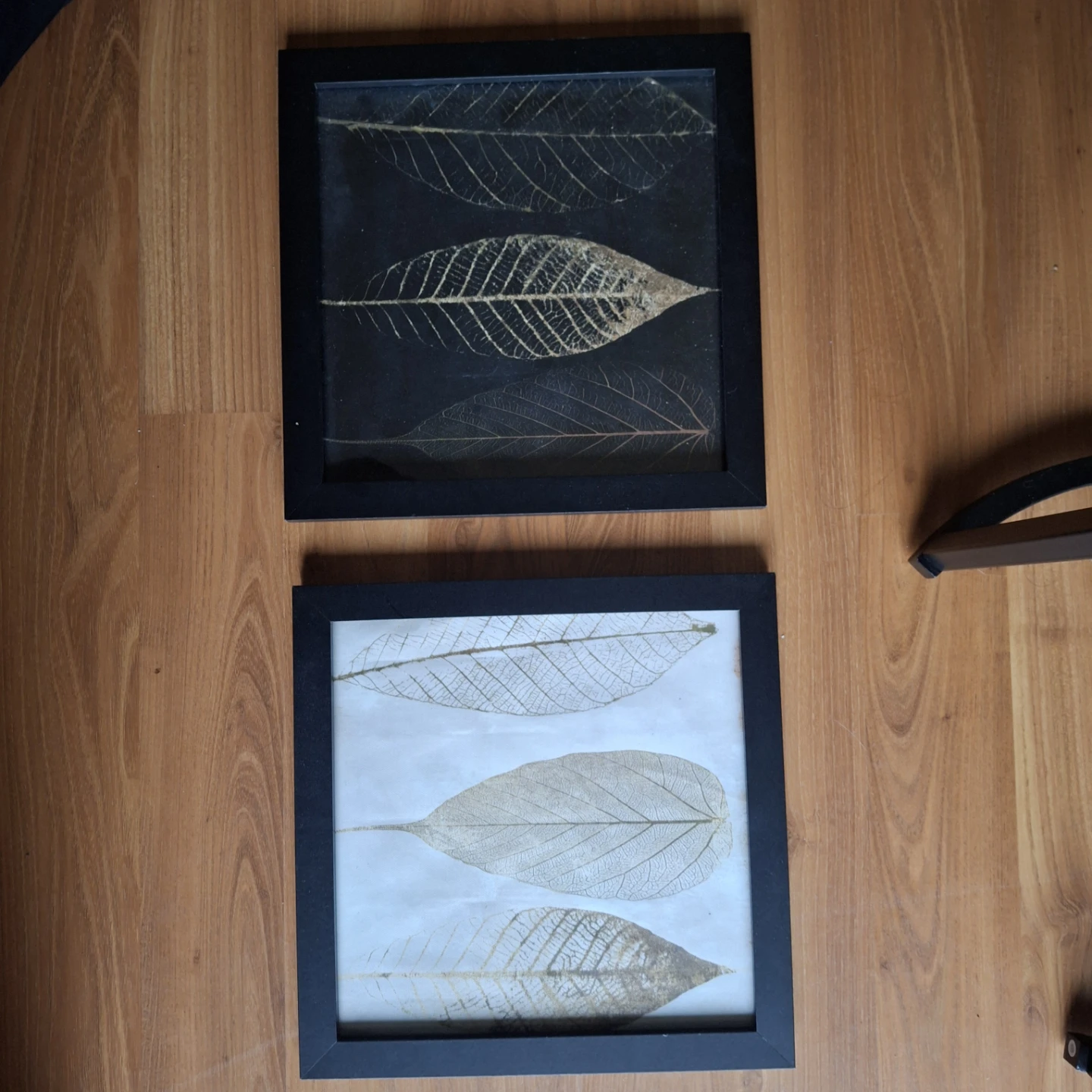 Framed Leaf Art Set