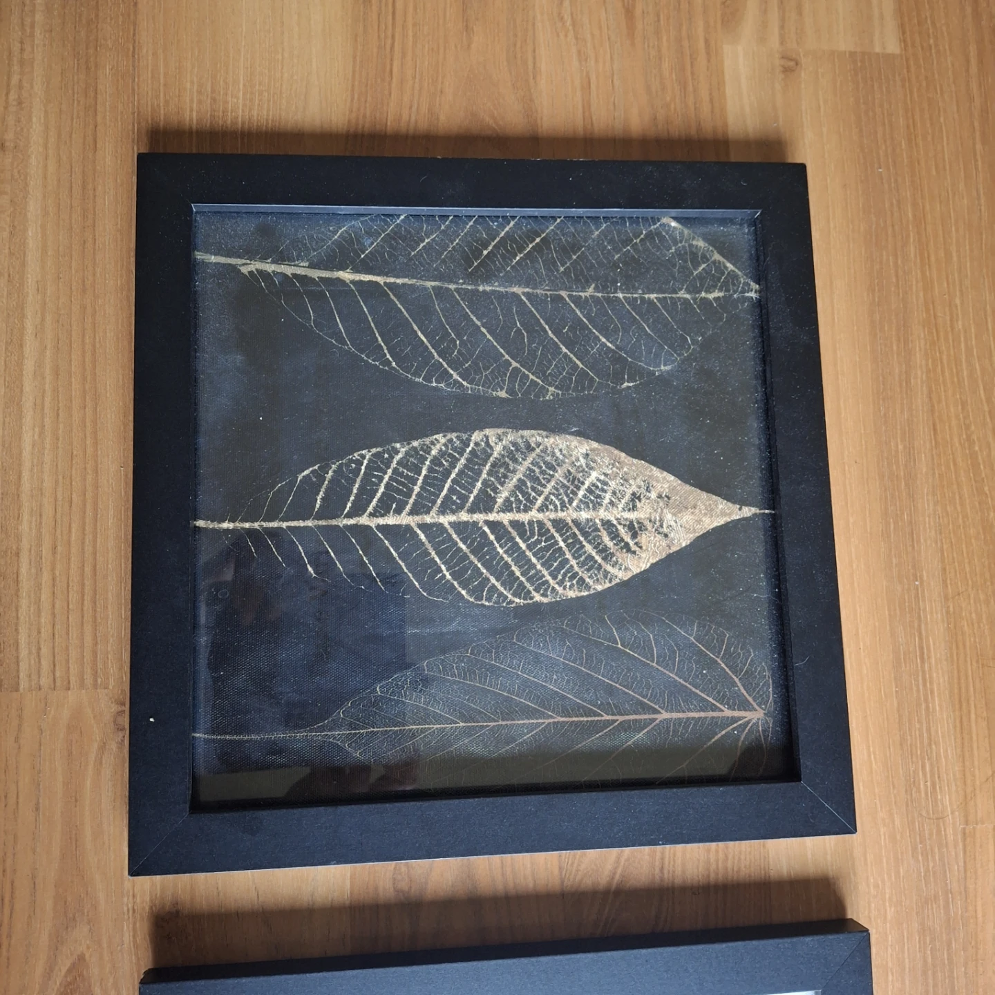 Framed Leaf Art Set - photo 4