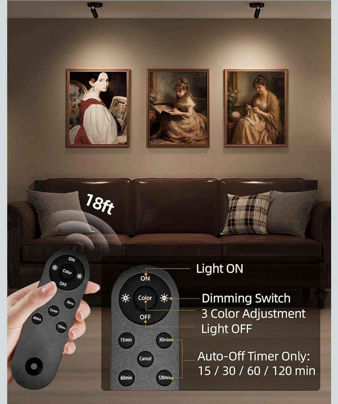 NEW USB Rechargable Spotlights Indoor with Remote, 5500mAh - photo 5