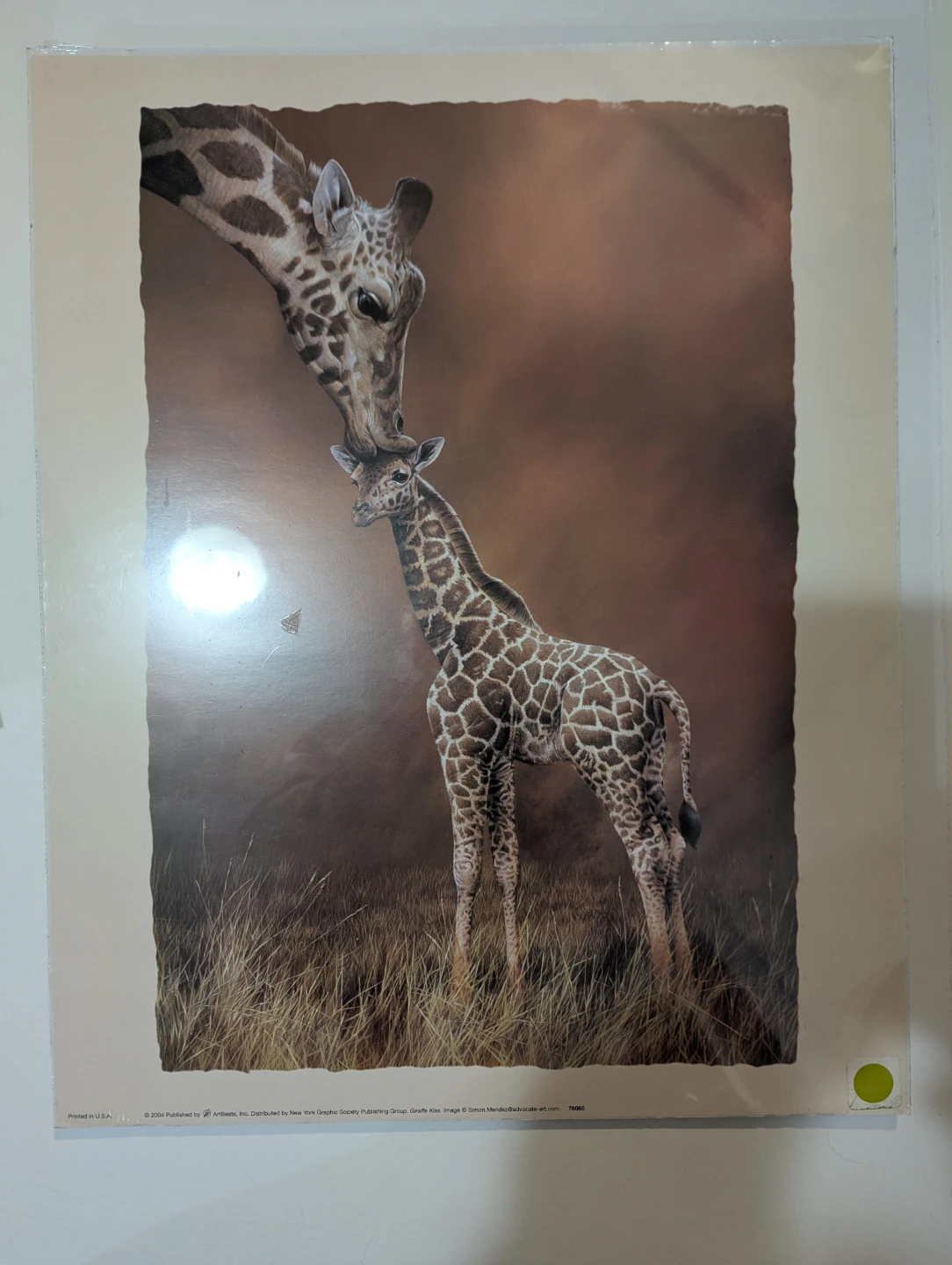 Giraffe Kiss Art Print 16 x 20
