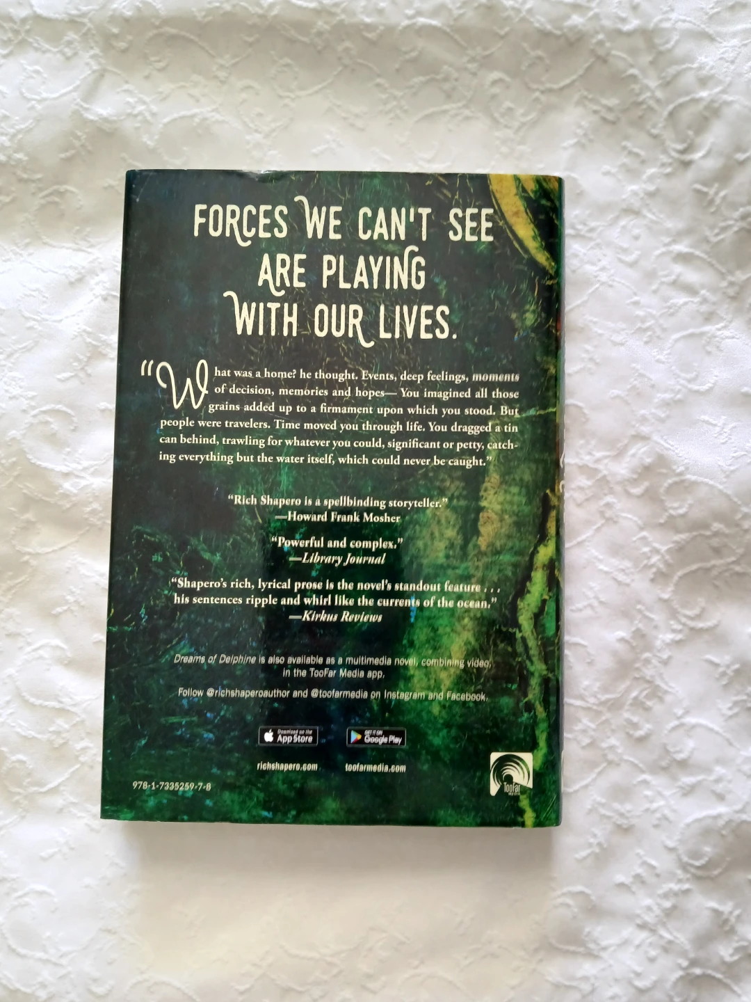 Dreams of Delphine Novel by Rich Shapero ⚽ - photo 2