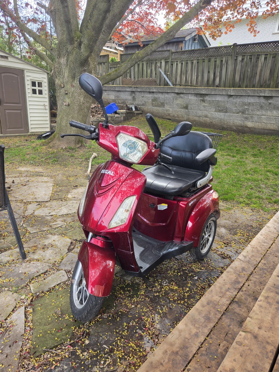 Regal Mobility Scooter