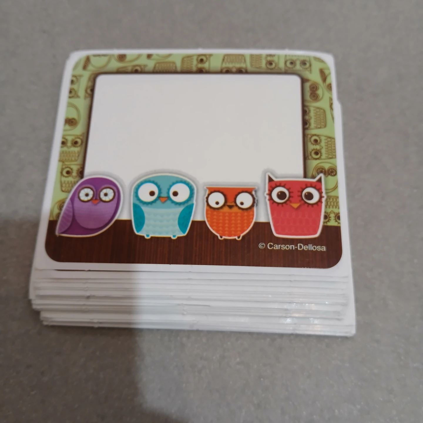⚽ Carson-Dellosa Owl Name Tags