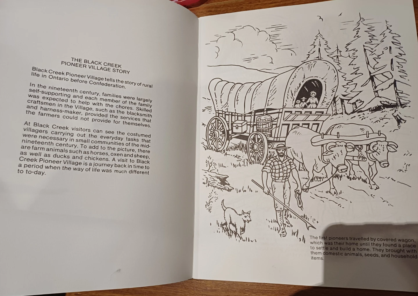 ⚽  FREE: Black Creek Pioneer Village Colouring Book - photo 3