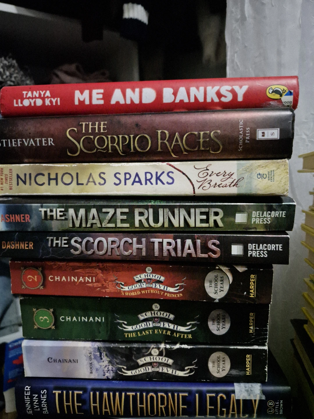 Collection of Young Adult and Children's Books - photo 4
