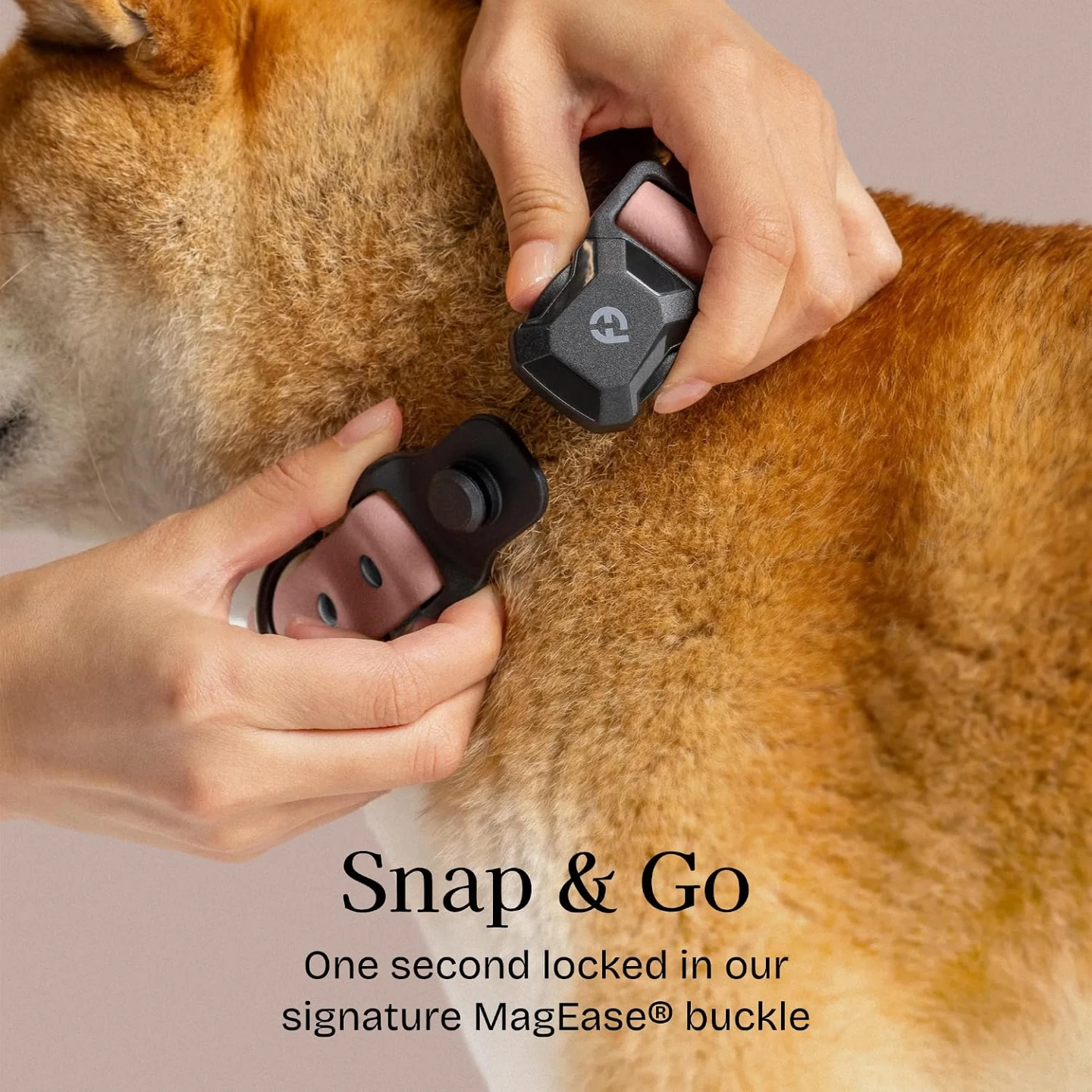 Pet Collar - All-Weather, Easy-Clean Pink - Medium ⚽ - photo 2