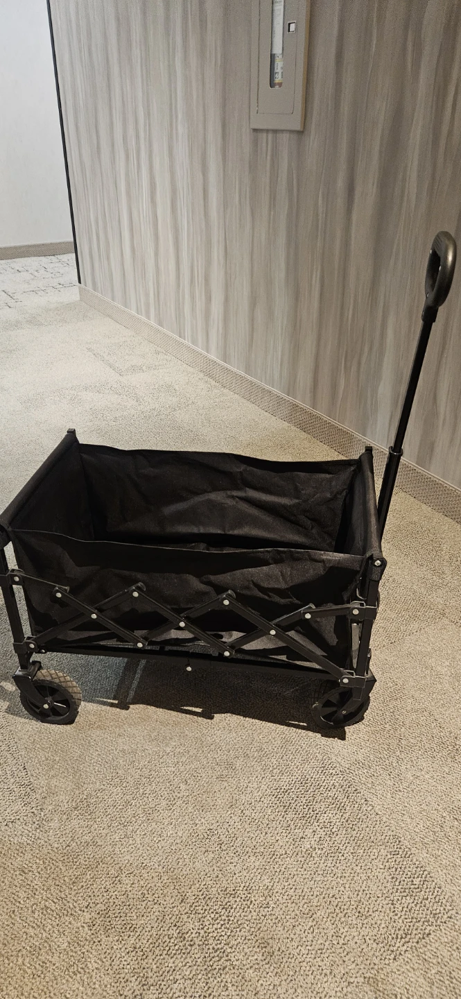 Wagon