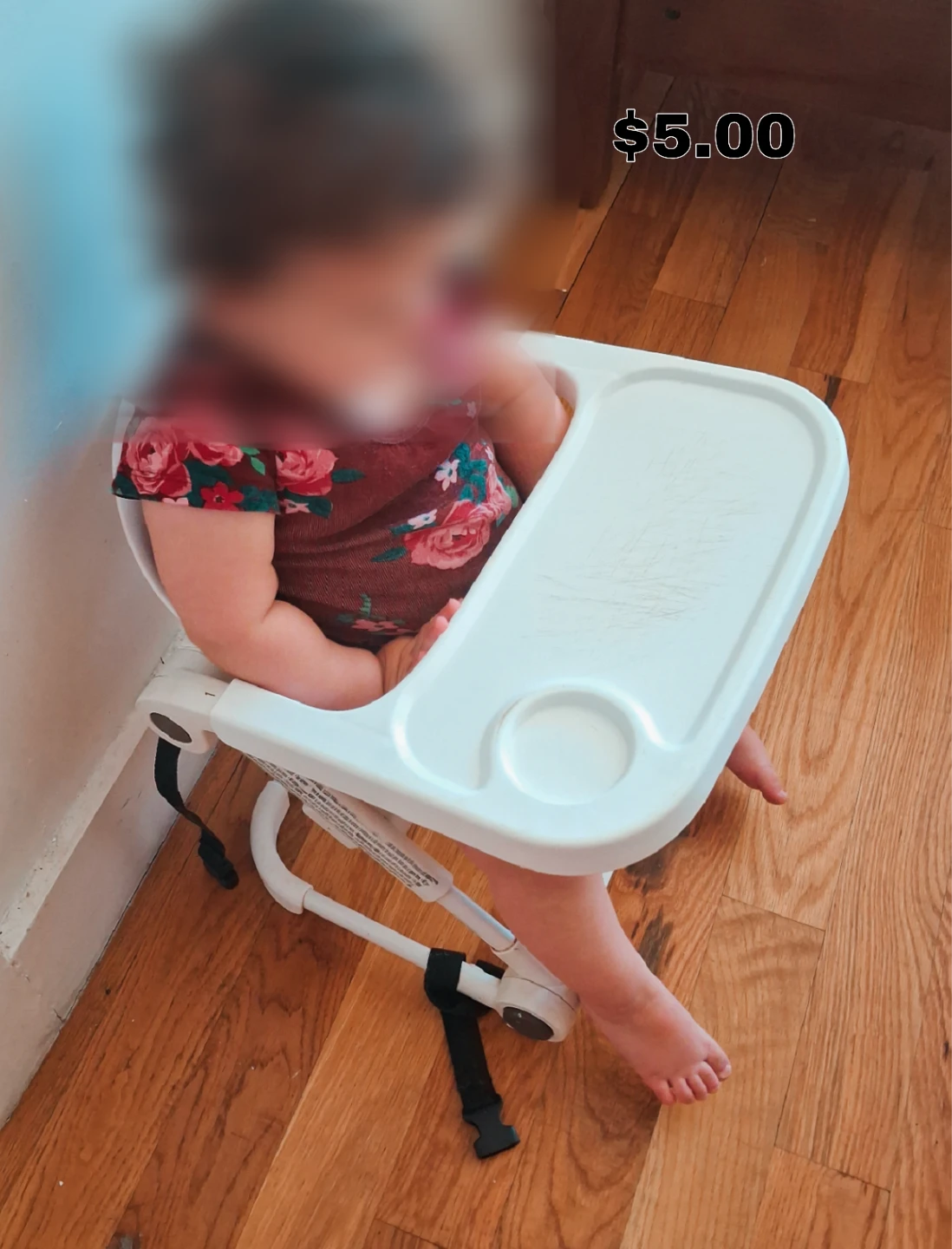 Portable High Chair with Tray