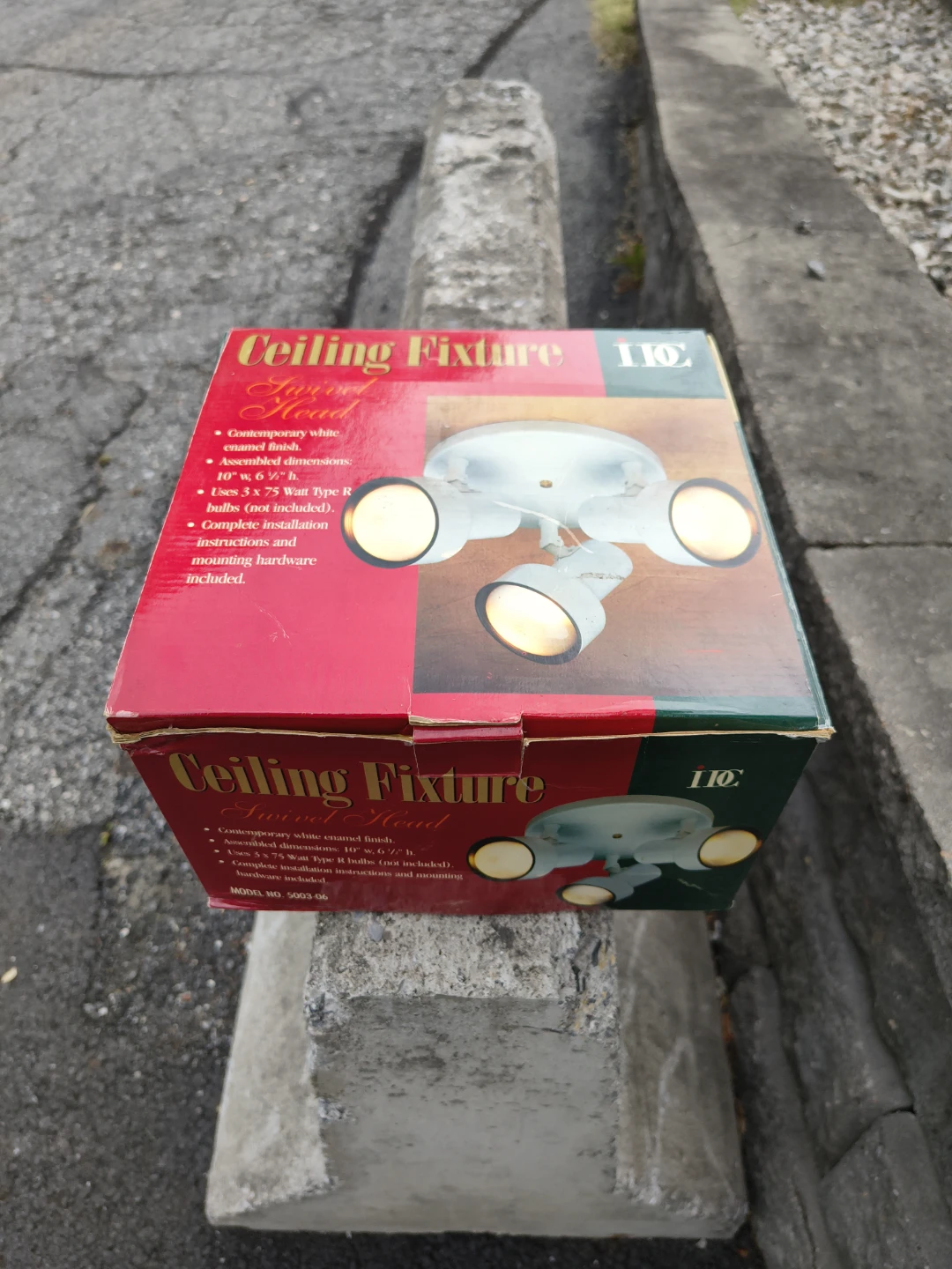 Ceiling fixture swivel head light