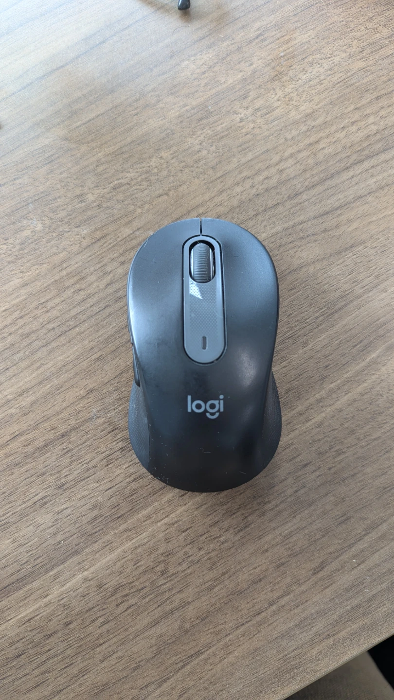 Logitech Quiet Mouse