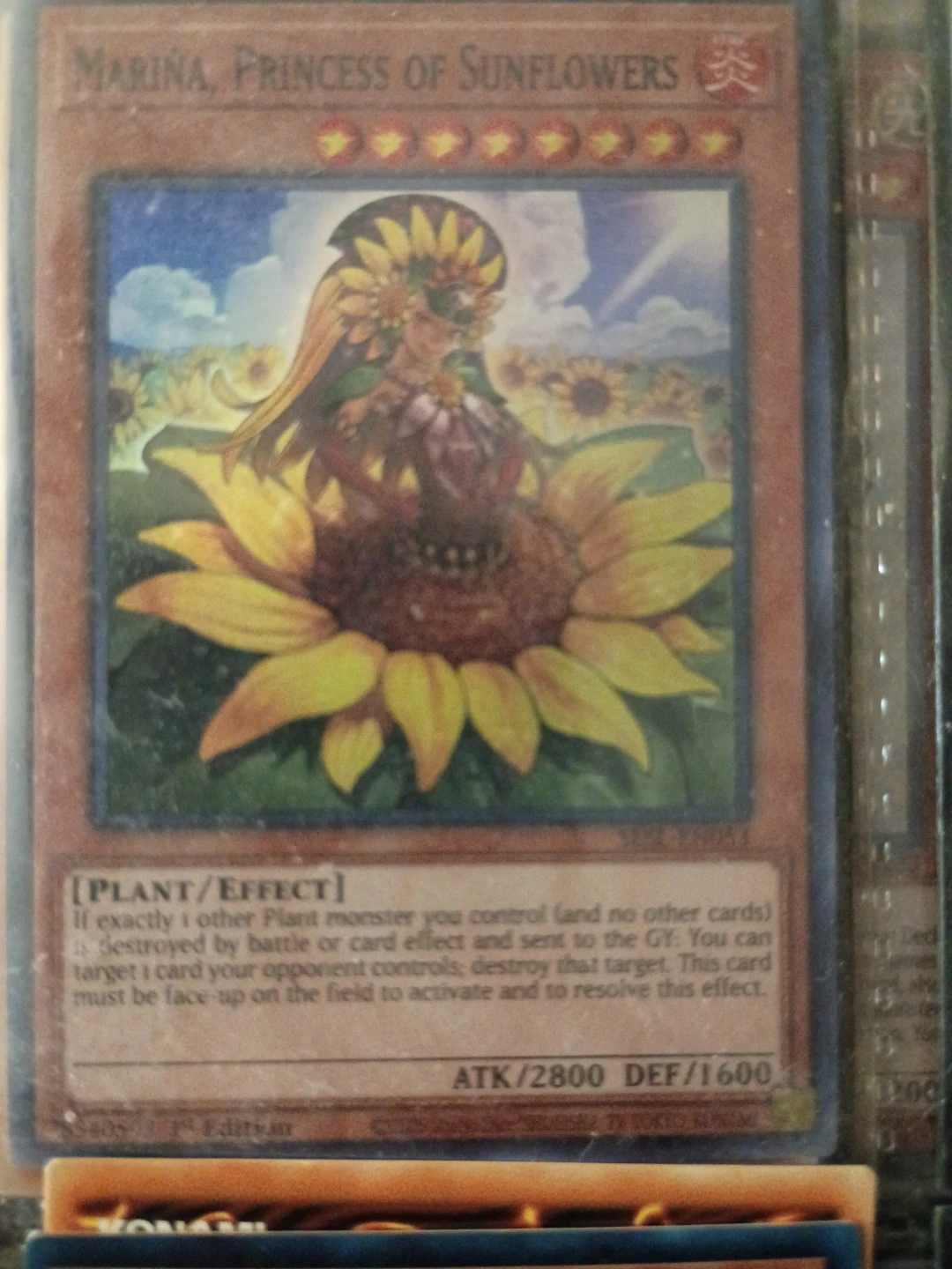 Marina, Princess of Sunflowers Yu-Gi-Oh!⚽Card
