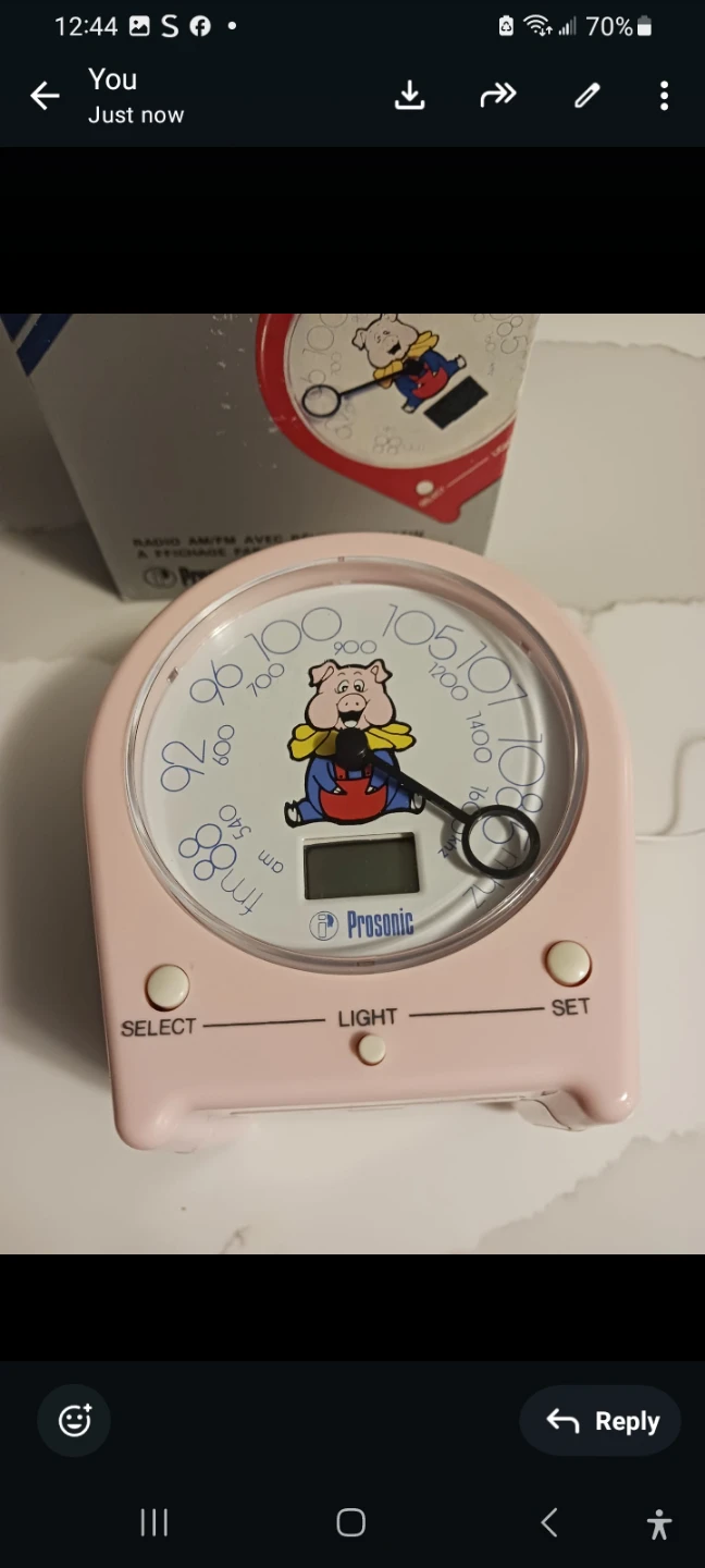 Prosonic AM/FM Radio Alarm Clock