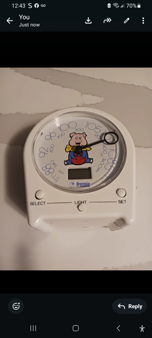 Prosonic AM/FM Radio Alarm Clock - photo 2