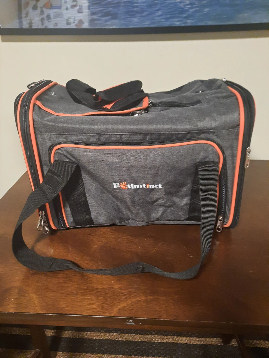 Pet Carrier Bag
