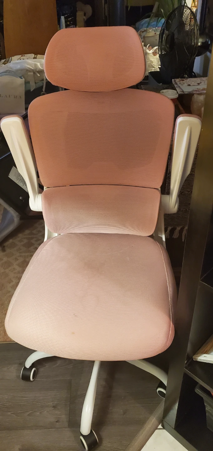 Ergonomic Office Chair - Pink Mesh - photo 5