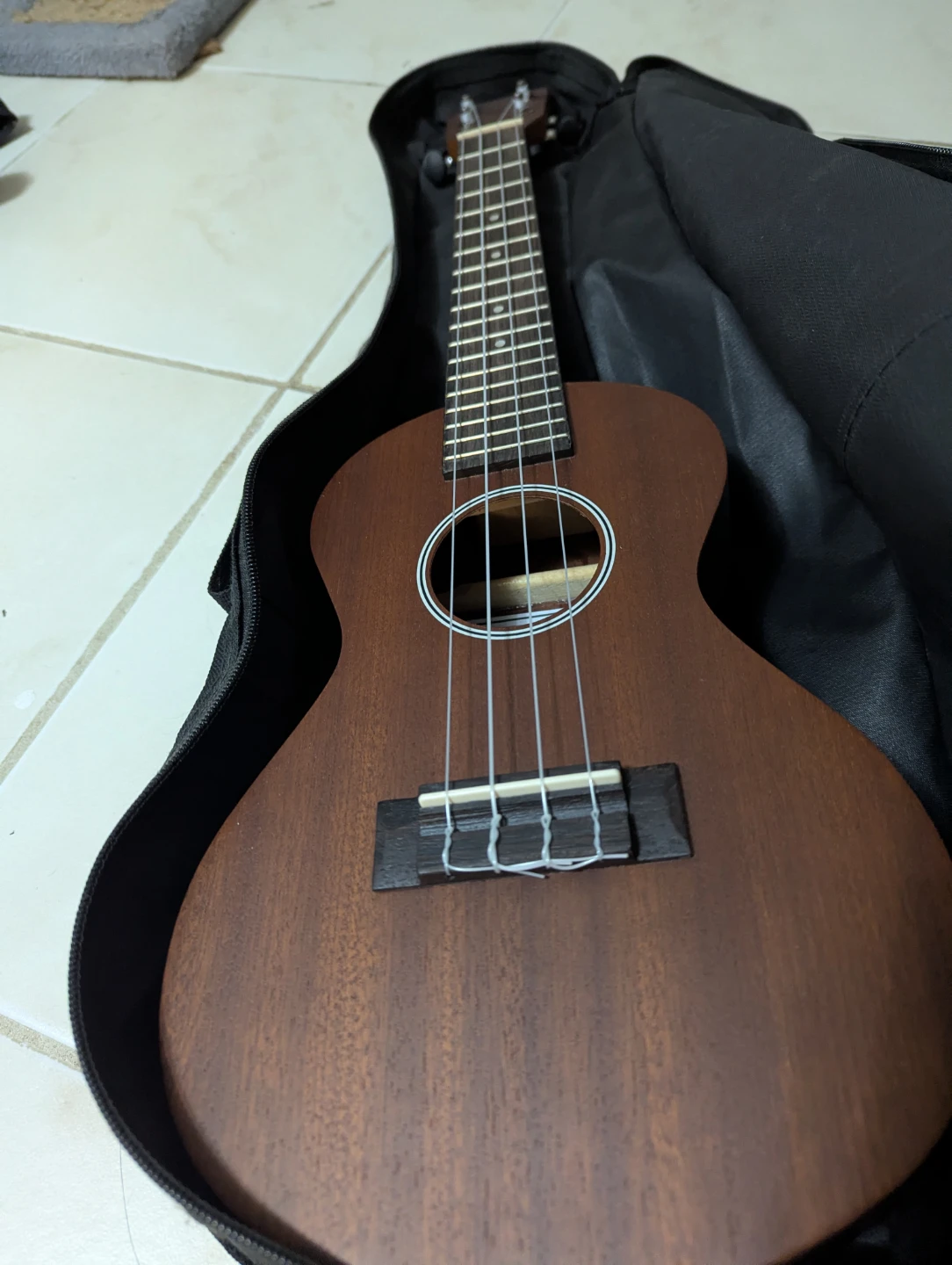 Denver Ukulele with Gig Bag