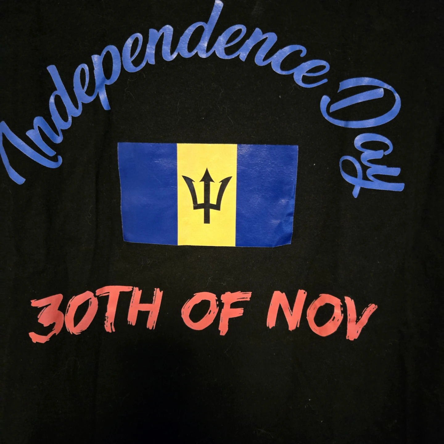 Independence Day T-Shirt - Barbados Flag - photo 3