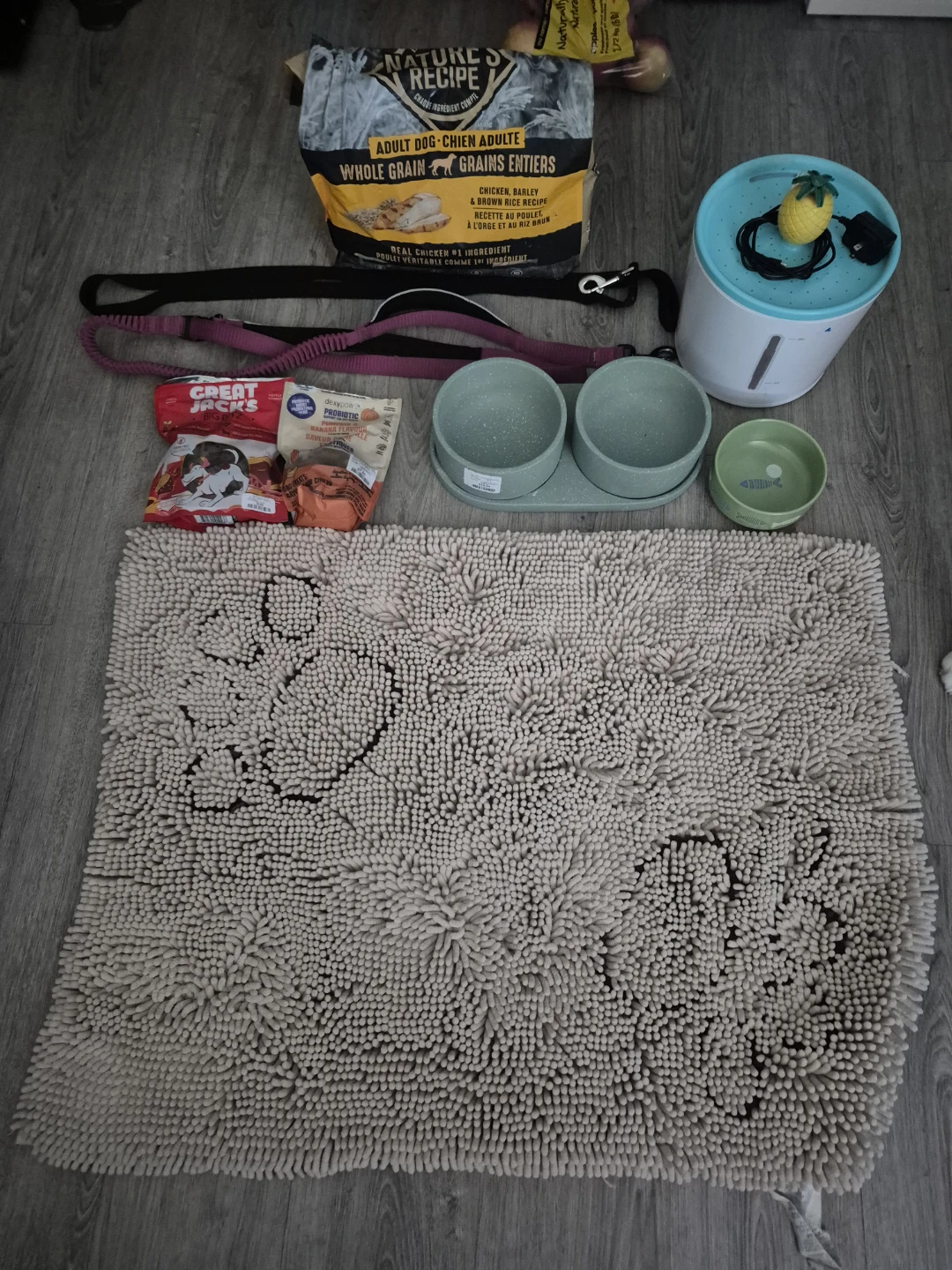 Pet supplies (Dog & cats) Prices are listed