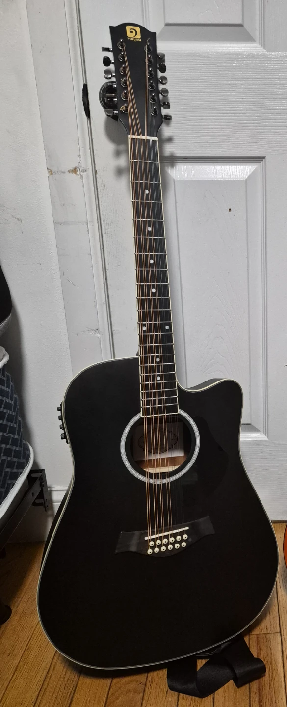 12 string acoustic electric guitar