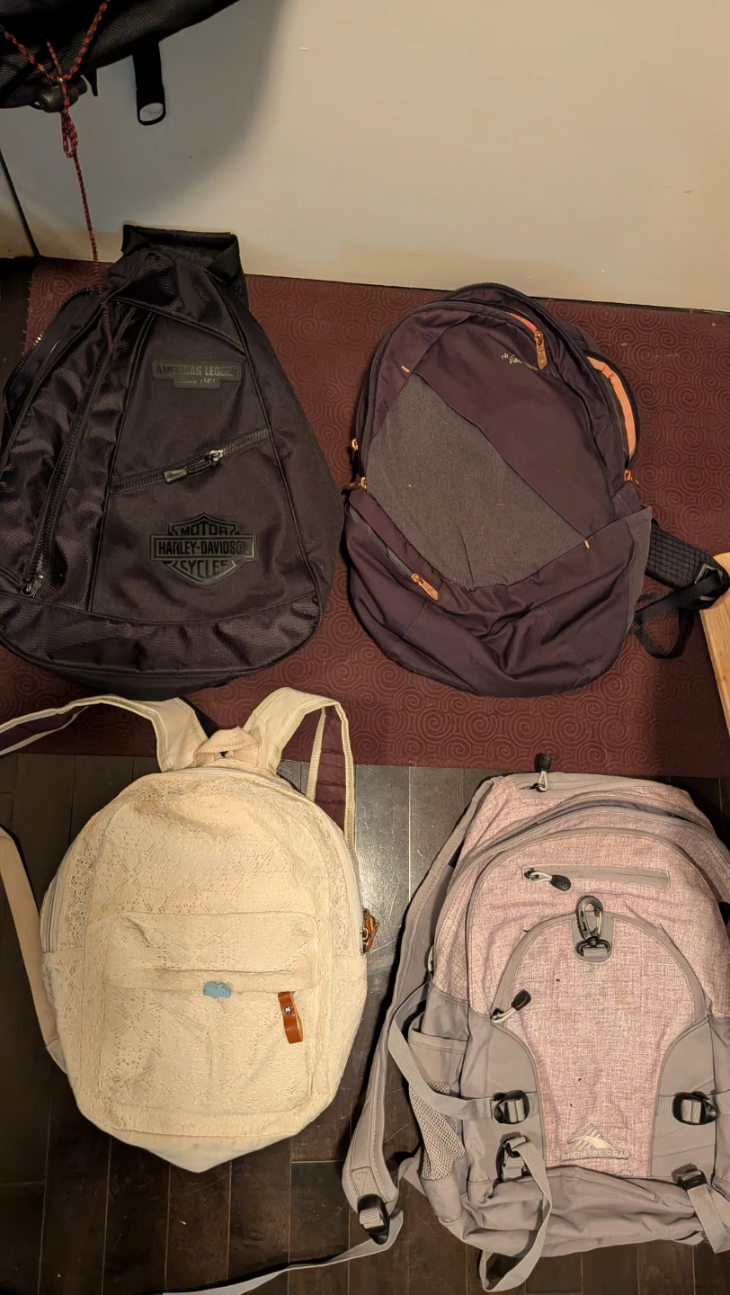 Assorted Backpacks, $6 - photo 2