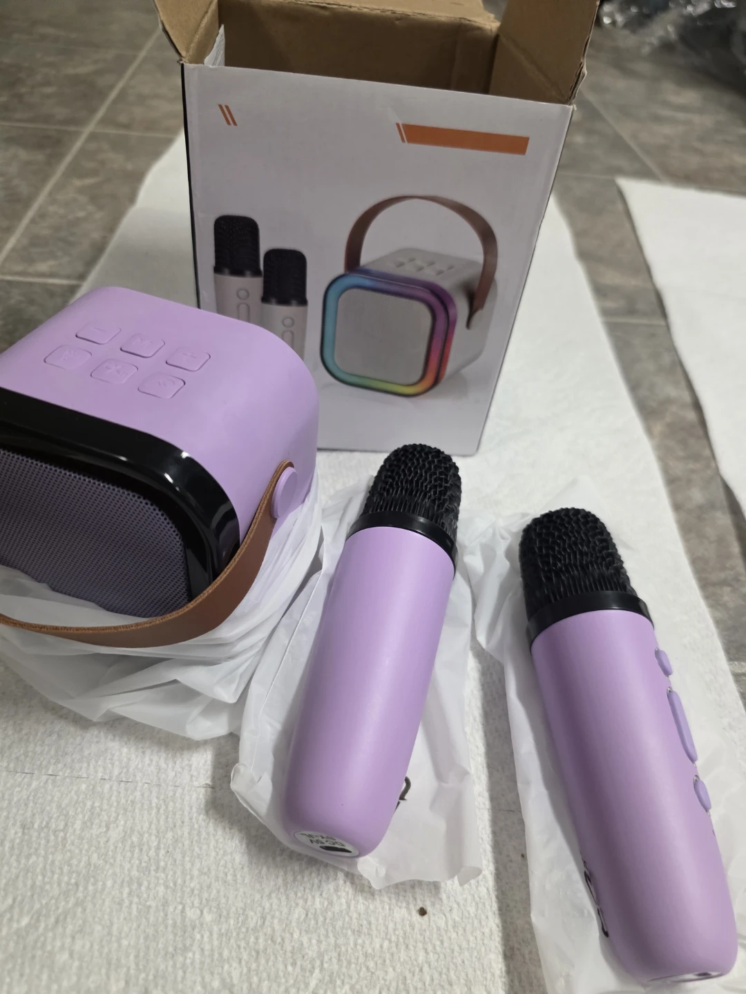 Portable Wireless Karaoke Speaker with 2 Microphones
