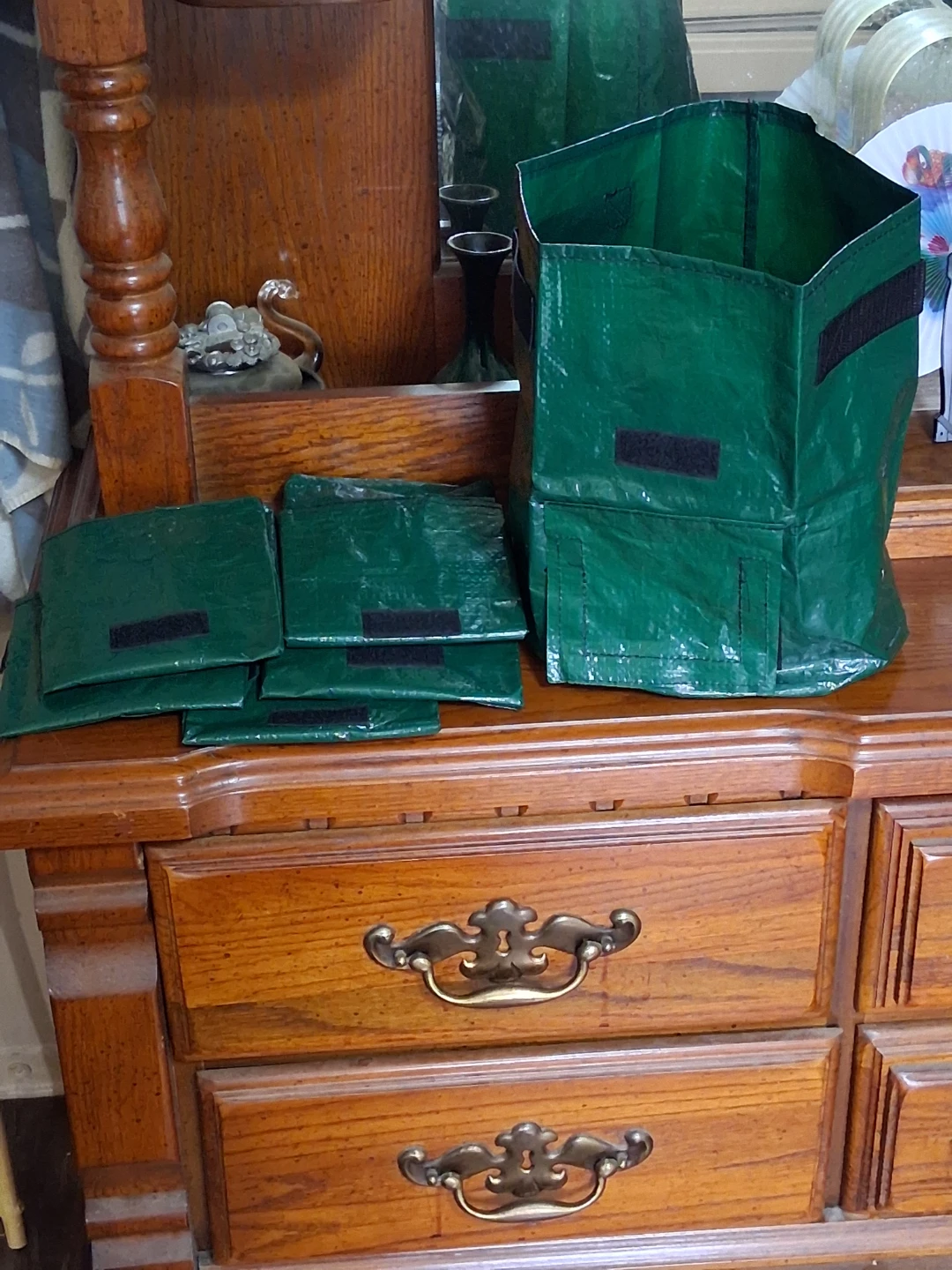 Green Grow Bags for apt/ condo vegetables