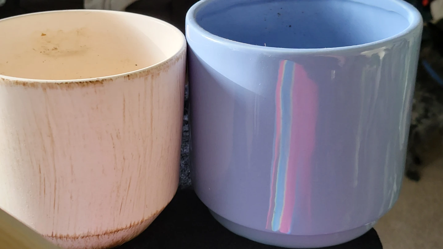 Two Ceramic Plant Pots