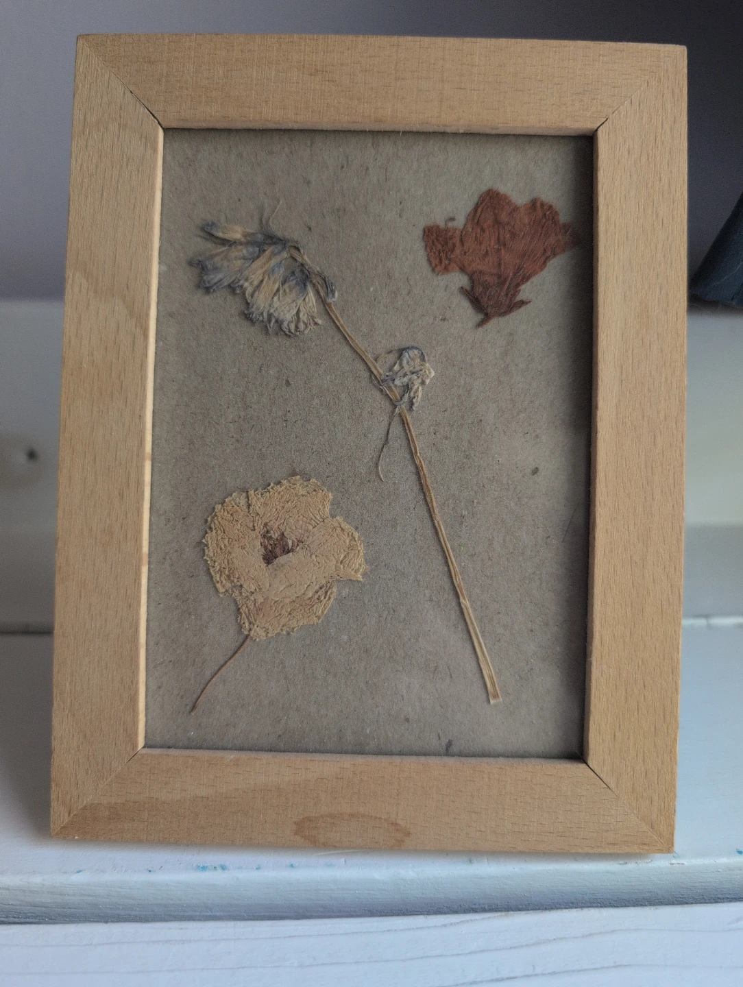 Framed Dried Flowers Art