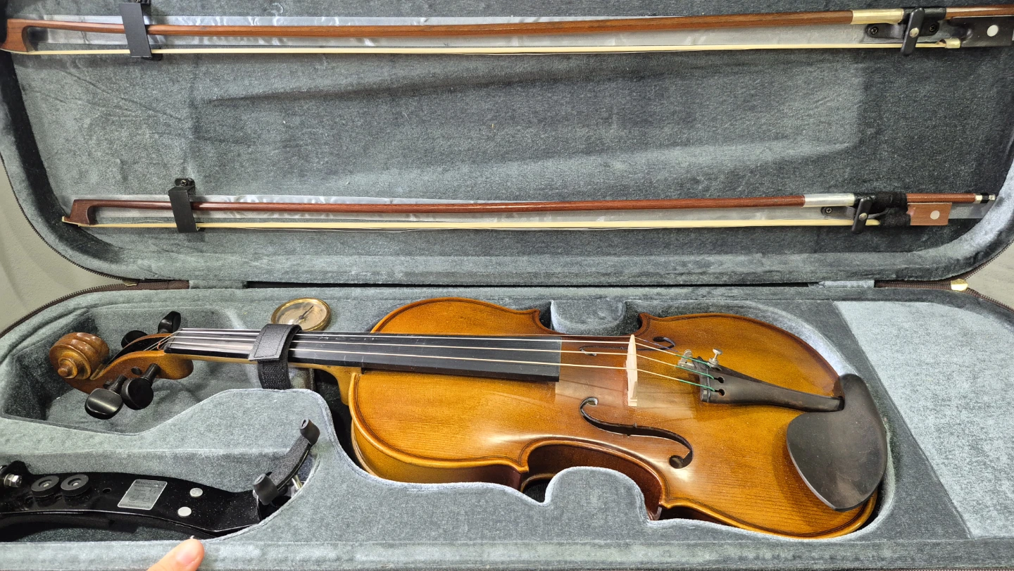 Violin with two bows and all the necessaries