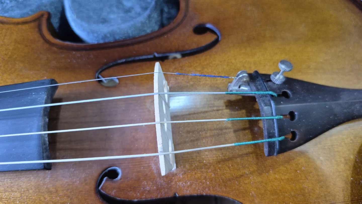 Violin with two bows and all the necessaries - photo 3