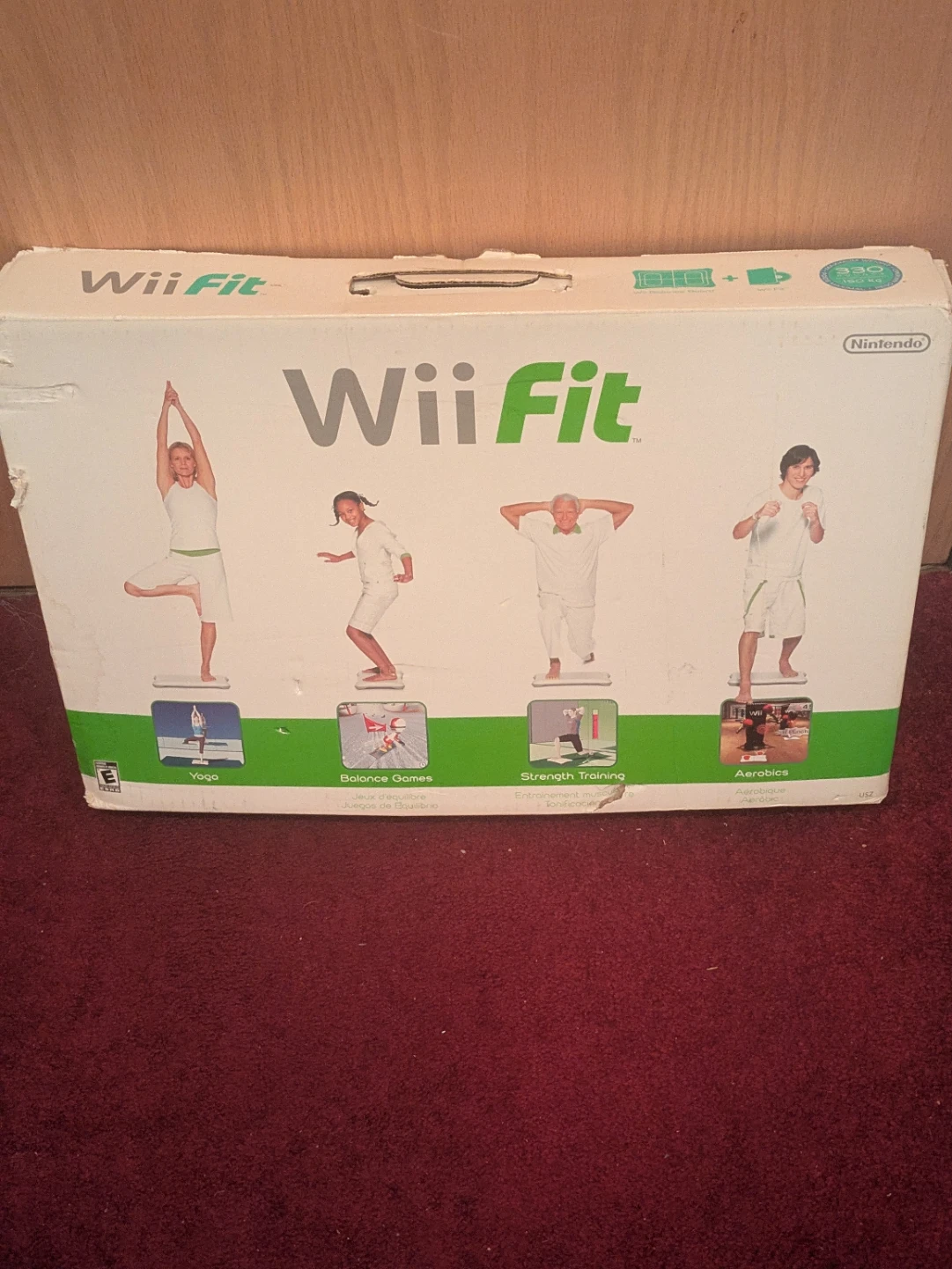 Nintendo Wii Fit