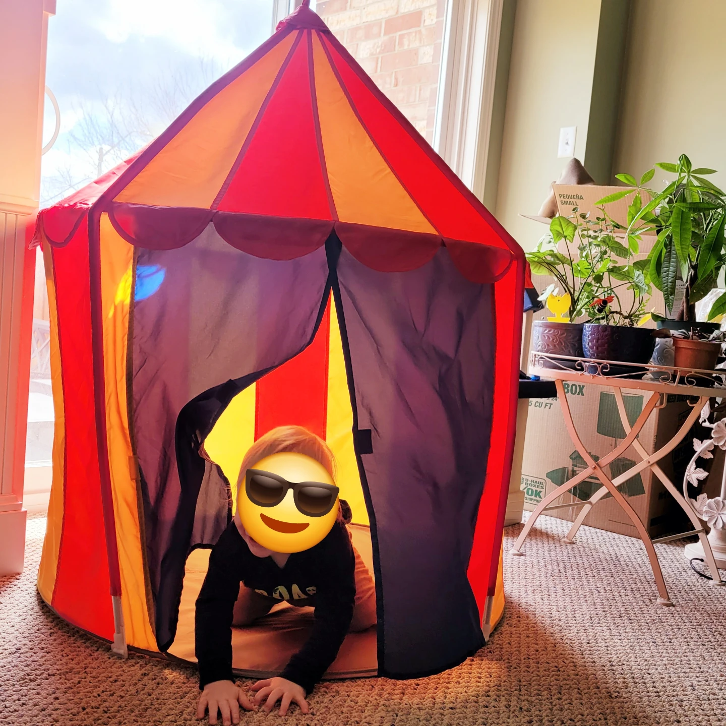 Children's Circus Play Tent
