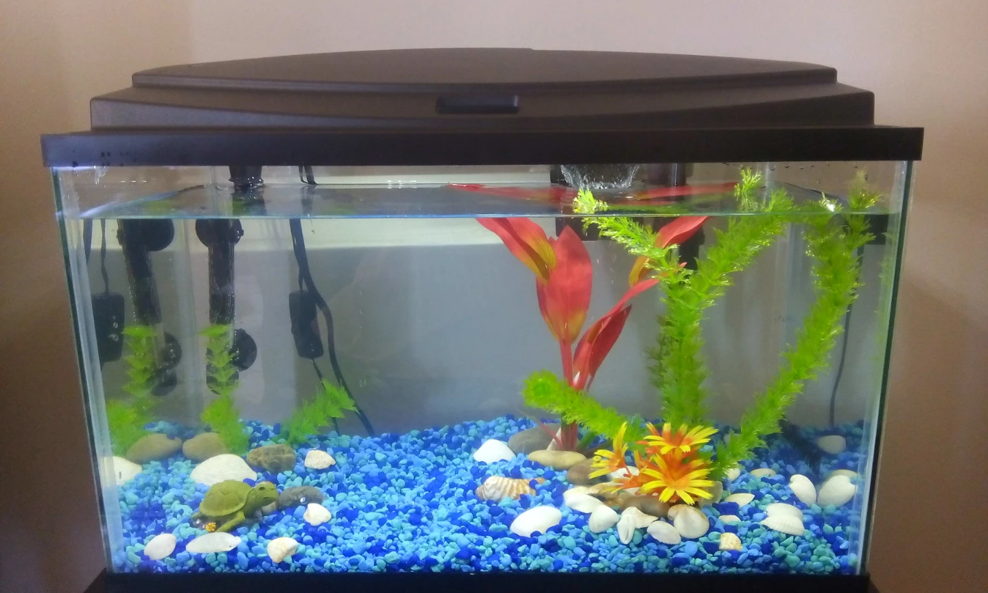 Glass Aquarium with Lid, Filter, Heater and Stand