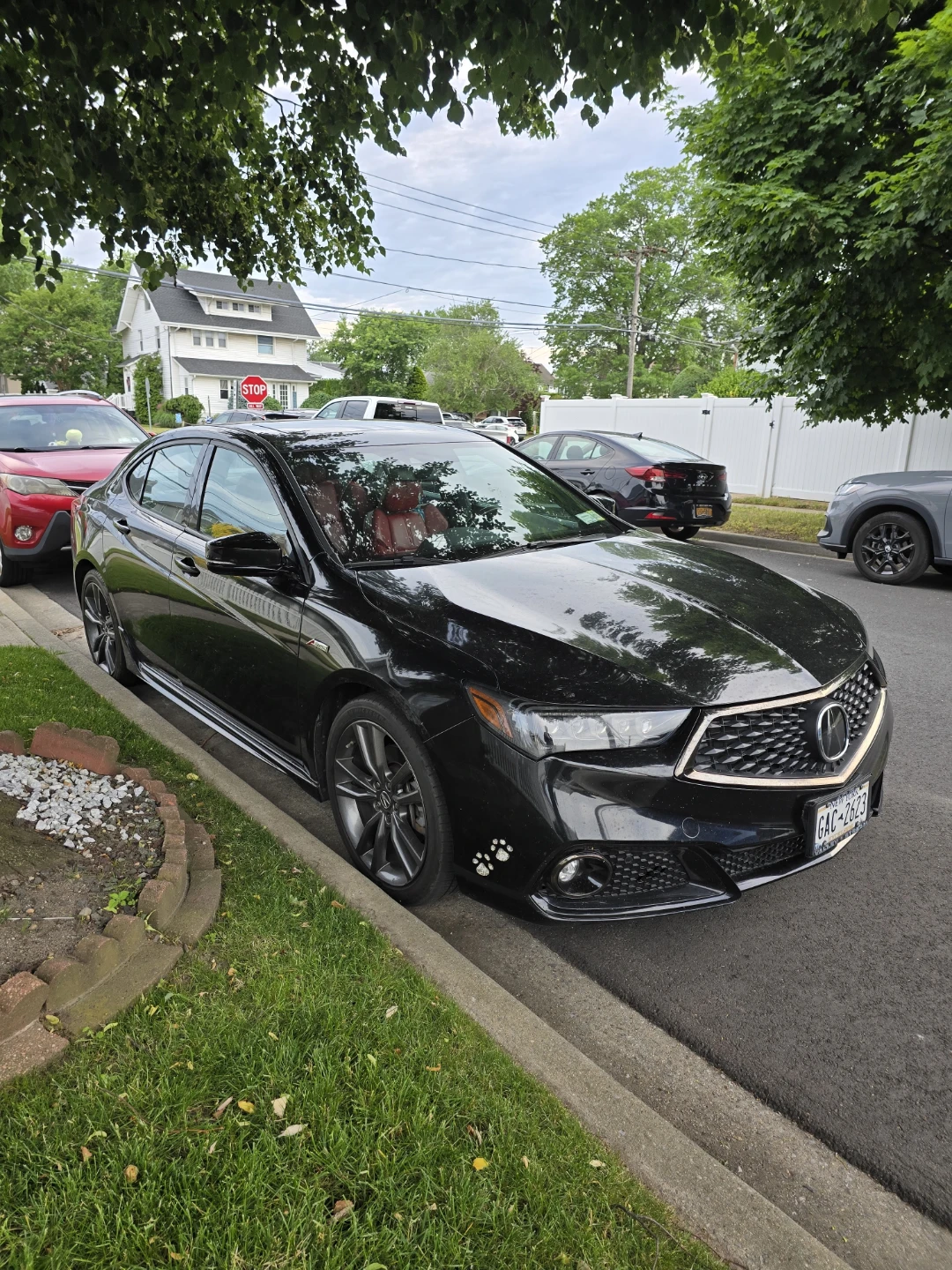 2020 ACURA TLX A-SPEC TECH PKG 77K RED GUTS