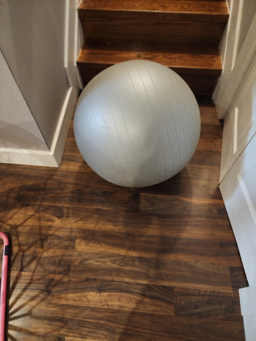 Grey Exercise Ball