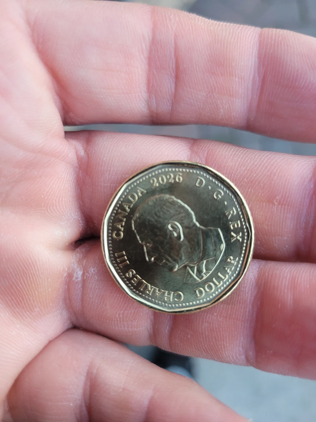Canada 2026 FIFA World Cup commemorative dollar coin - photo 3