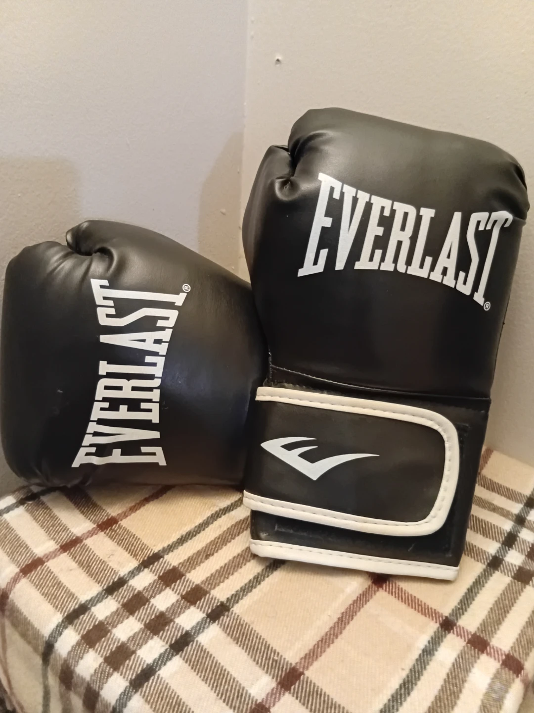 Everlast Boxing Gloves