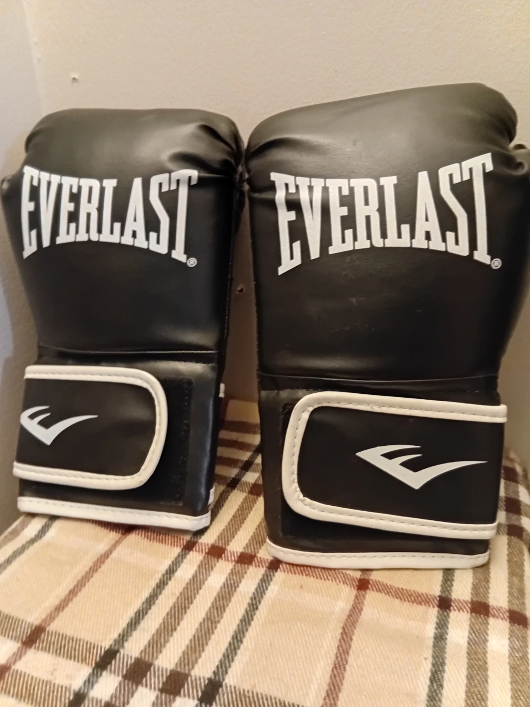 Everlast Boxing Gloves - photo 4