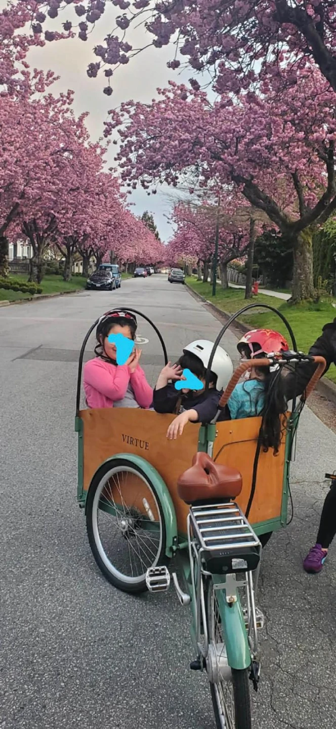 Virtue Cargo Bike - photo 3