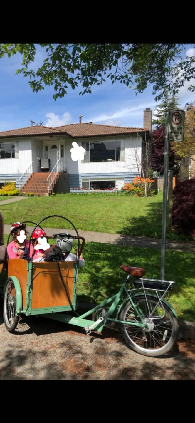 Virtue Cargo Bike - photo 5