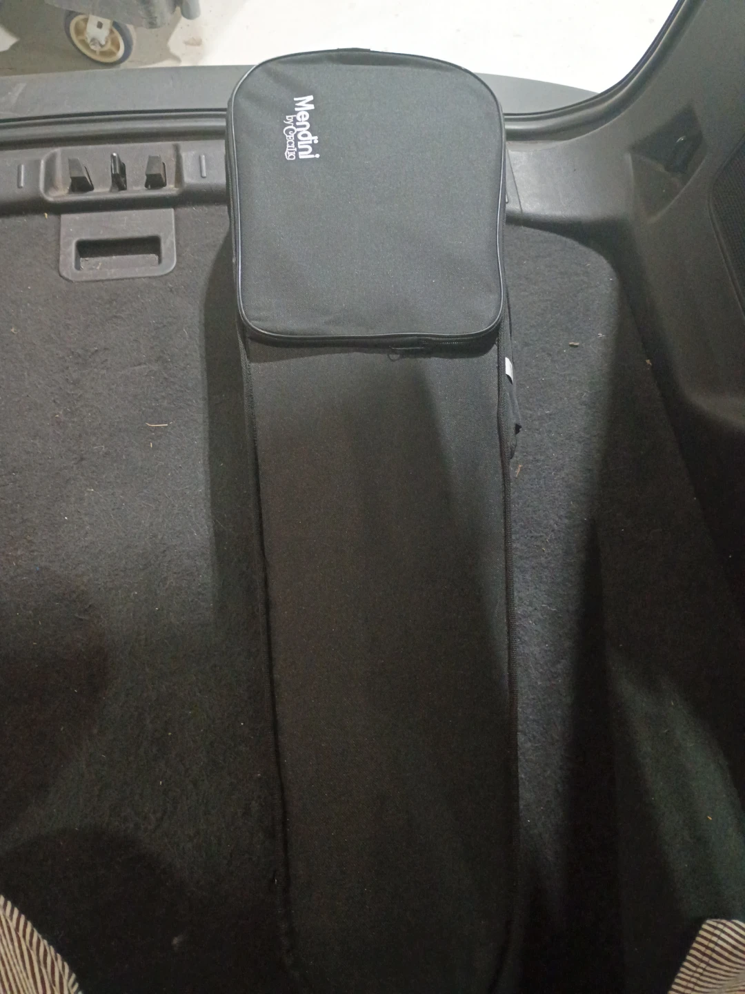 Violin Case with Violin, Bow, and Accessories