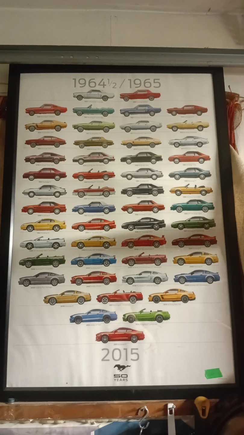 Ford Mustang Evolution Poster 1964-2015