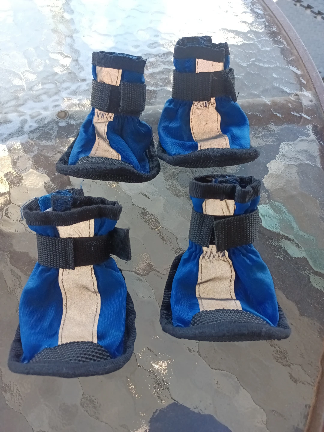 Blue Dog Boots with Reflective Strips Small