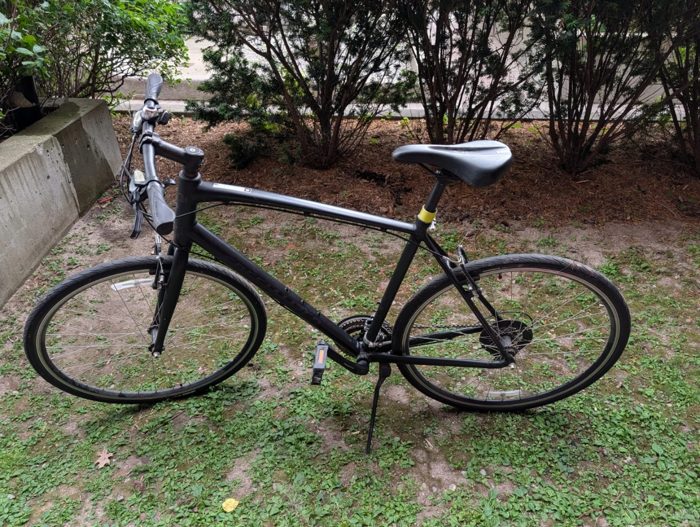 Specialized Hybrid Bike