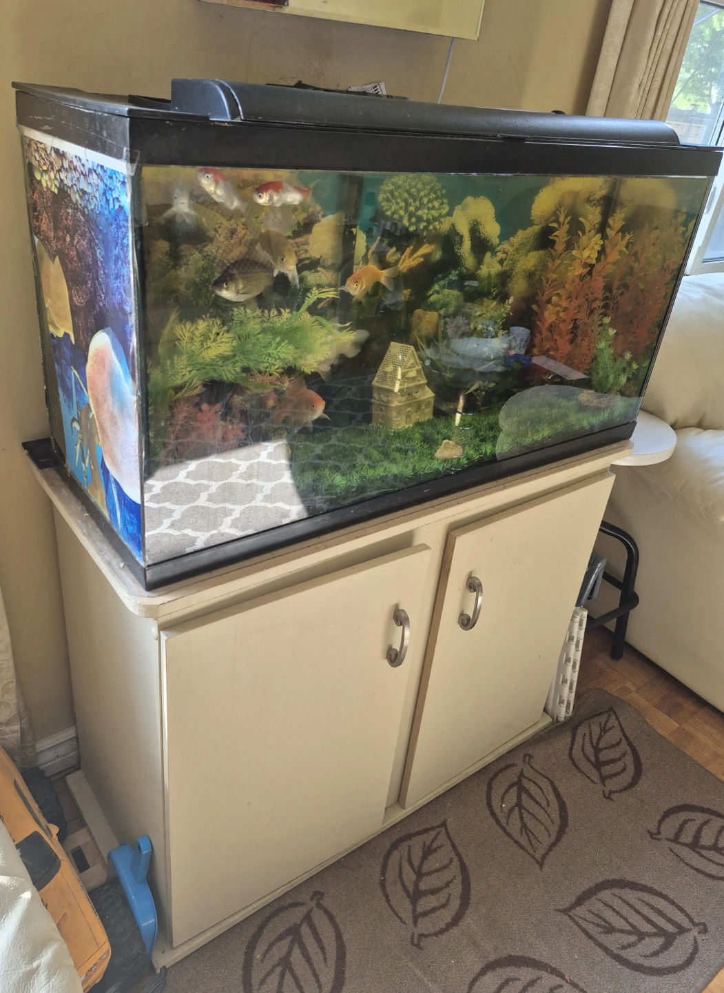 Aquarium with Stand