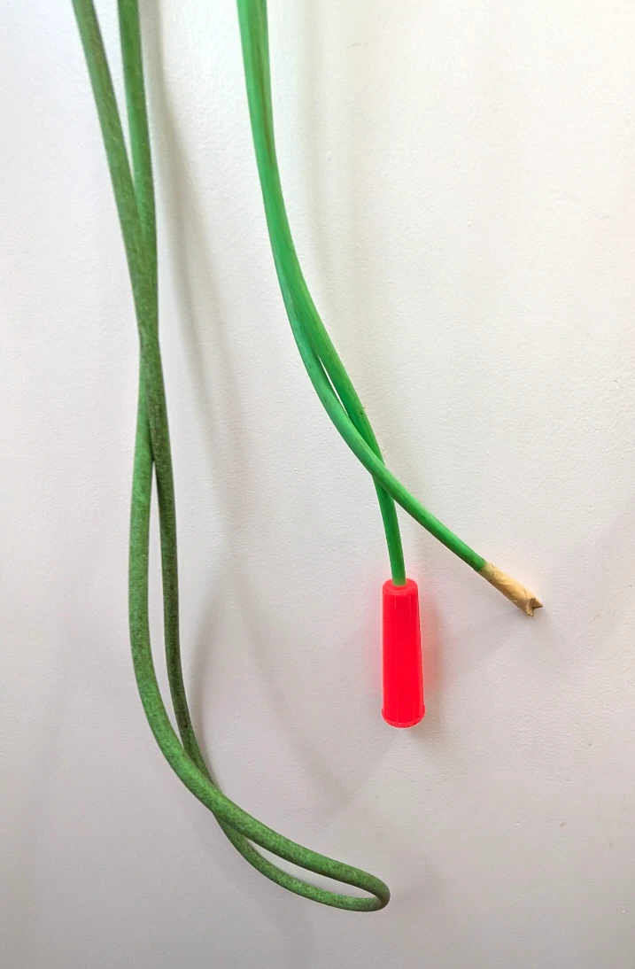 Long Double Dutch Skipping Rope - photo 2