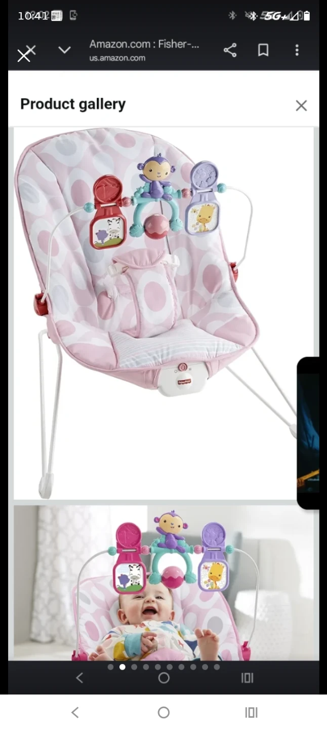 Fisher-Price Baby Bouncer