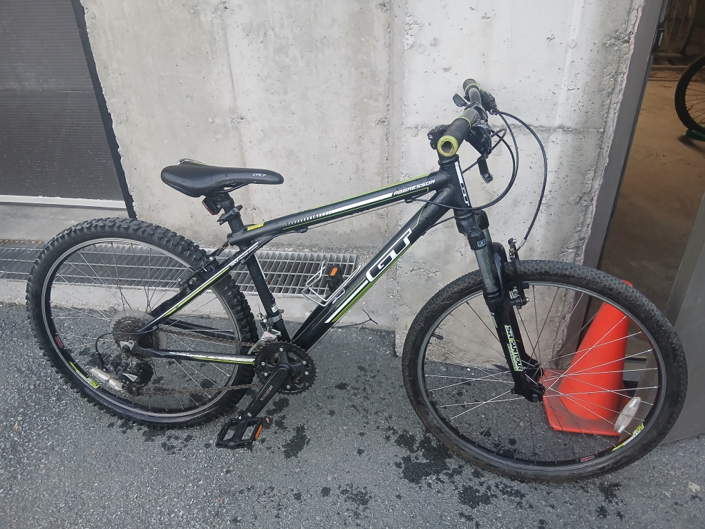 GT Aggressor Mountain Bike